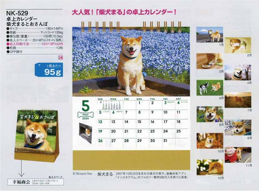 59.NK-529 柴犬まるとおさんぽ（卓上カレンダー）