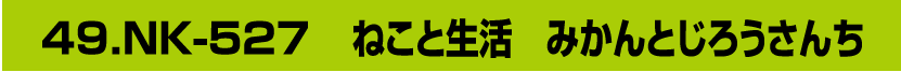2024/0149.NK-527　ねこと生活　みかんとじろうさんち