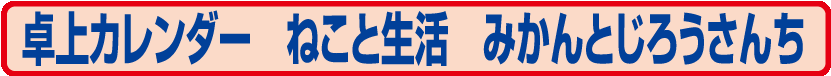 2024/0149.NK-527　ねこと生活　みかんとじろうさんち