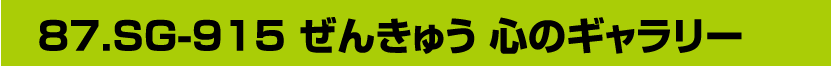 87.SG-915 ぜんきゅう 心のギャラリー