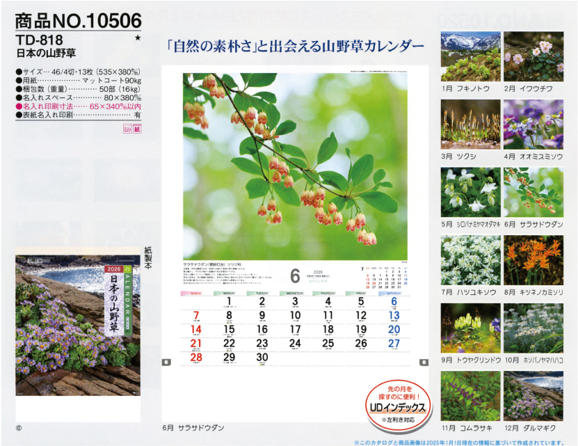 壁31.TD-818 壁掛けカレンダー 日本の山野草