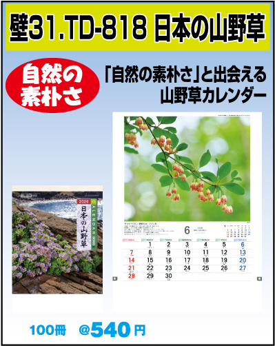 31.TD-818 日本の山野草