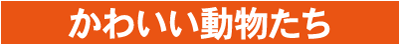 壁32.NK-104 かわいい動物たち